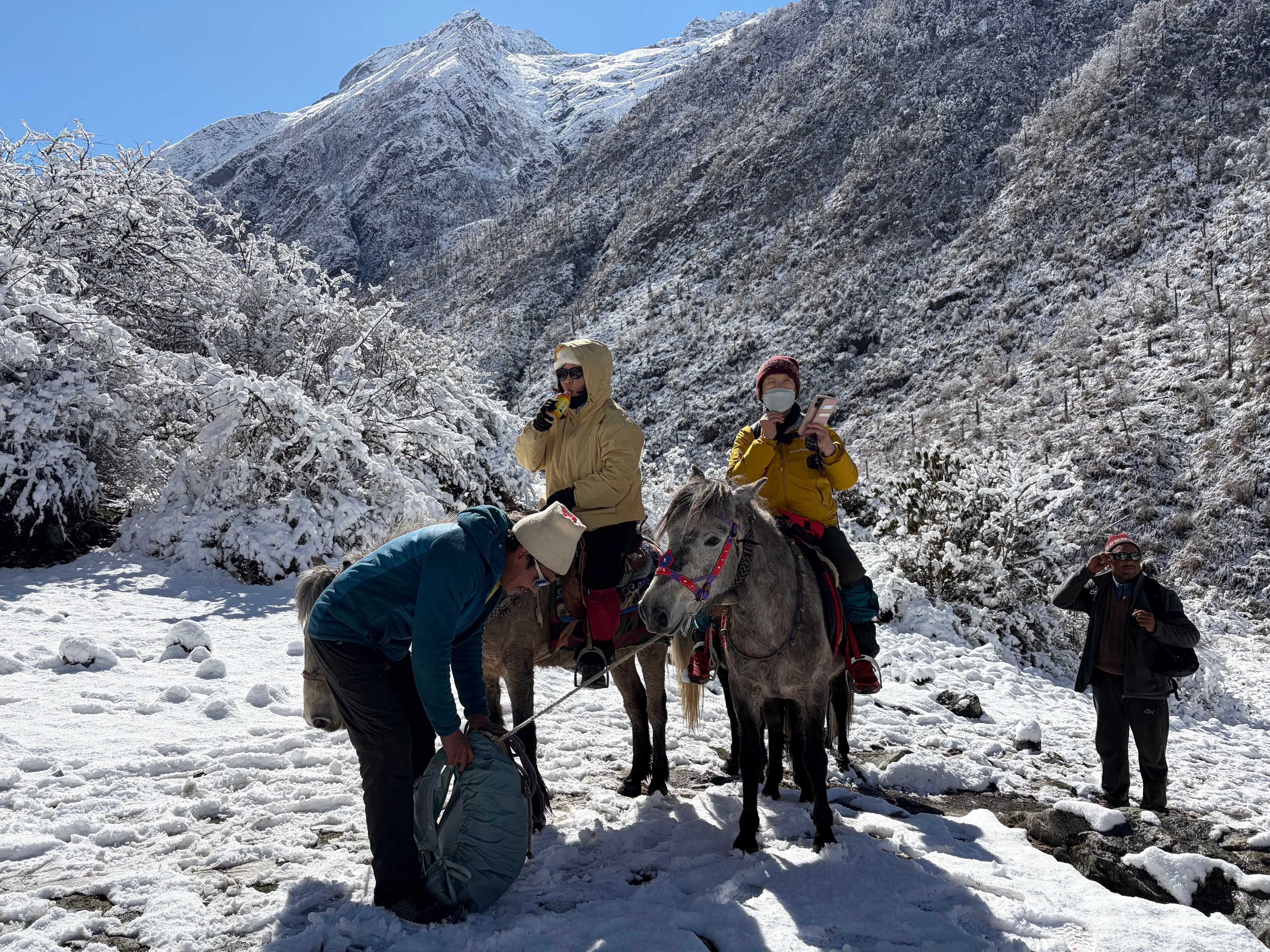 Horse Backpacking
