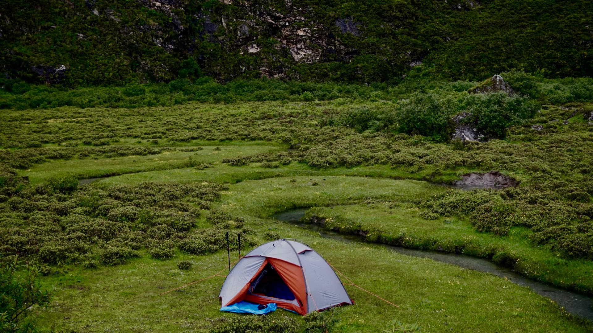 Reviving the Vanishing